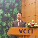 Nguyễn Quang Vinh, Vice Chairman of VCCI